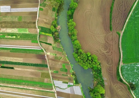 四川金堂县构建耕地保护“三合一”专班工作机制