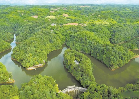 点“绿”成金促发展  成都描绘生态价值转化新画卷