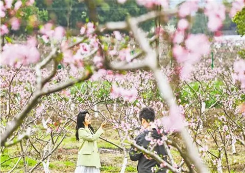 巴渝和美乡村现场会为何在铜梁召开