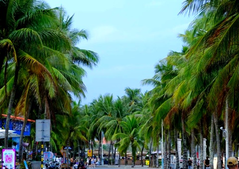 建“清凉城市”，海南有何“凉方”?