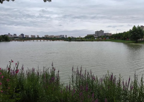 宁夏建立林草湿荒调查监测与国土变更调查协同机制