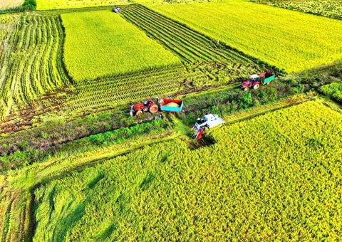 湖北推进高标准农田建设及第二轮土地承包到期再延长试点工作