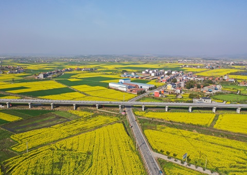 湖北荆门构建“四维联动”模式   打造全域国土综合整治示范样板
