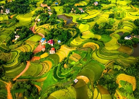 @农民朋友 2025年重庆市耕地地力保护补贴方案来了