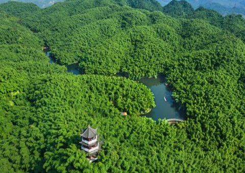 四川发布林草碳普惠项目方法学&nbsp;&nbsp;&nbsp;&nbsp;助推生态产品价值变现