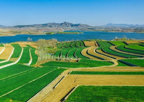 山西计划用5年开展一轮全域土地综合整治