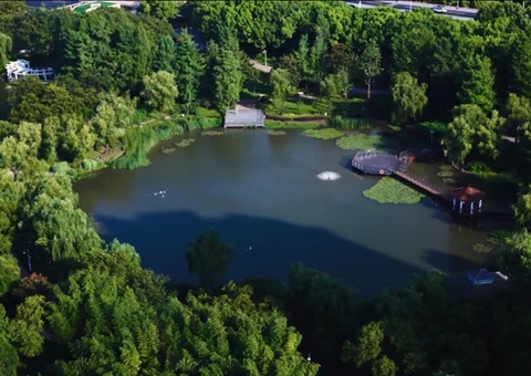 上海修订林长制配套制度为基层减负