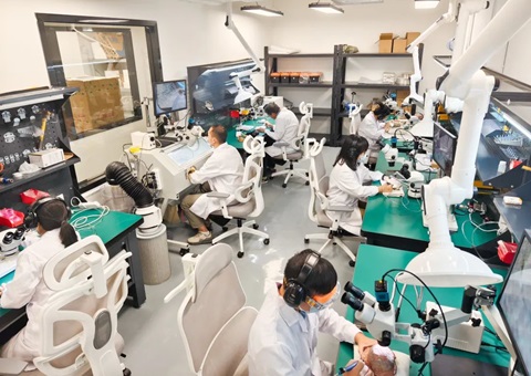 解锁远古“生命档案”！广西首家专业古生物化石修复鉴定室亮相