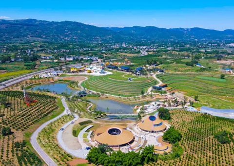 四川金堂：从“卖产品”到“卖风景”！乡村规划铺路让橘香飘出新滋味