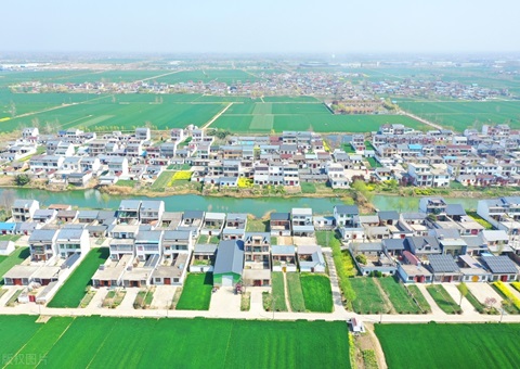 江苏深化集体林改探索“两山”转化新路径