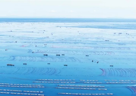 辽宁全面清查海洋资源资产实物量、价值量、使用权——摸清海洋“家底儿”