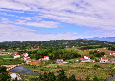 河南：2026年年底前实现乡村地区规划管理全覆盖