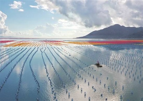 广东调整现代化海洋牧场项目海域使用金减免政策适用范围    获批项目免缴前5年海域使用金