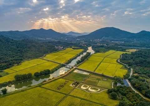 创新财政支持 培育典型项目 | 广东省建立“补改投”支持全域土地综合整治机制