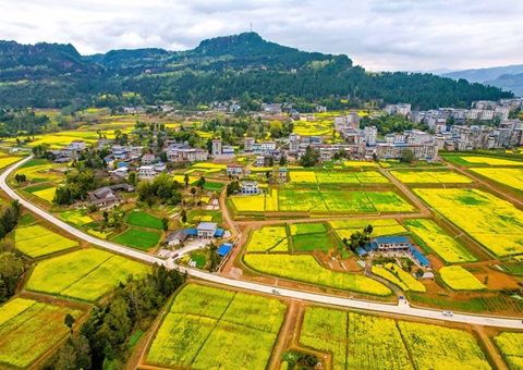 四川已发行土地储备专项债券186.66亿元