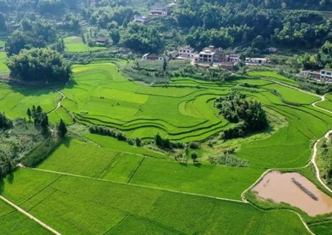 四川省批复首个全域土地综合整治实施方案