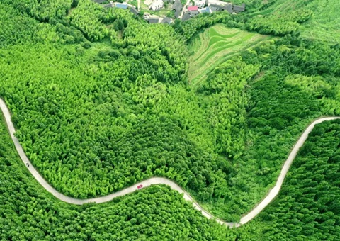 湖南发布用地用林用草融合审批“路线图”