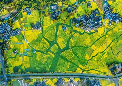 崇州市局出台乡村地区“通则式”规划管理规定&nbsp;&nbsp;为乡村治理提供规划支撑