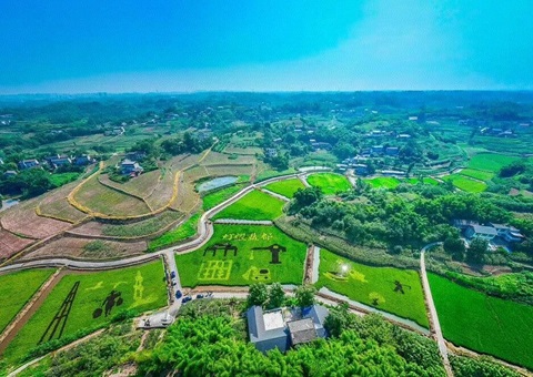 护航乡村发展！自贡市出台乡村振兴用地指南