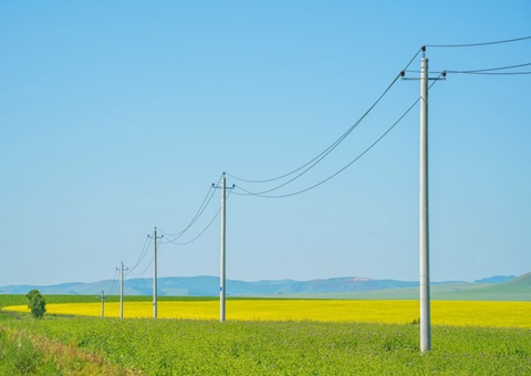 湖南出台耕地新建杆线管理办法