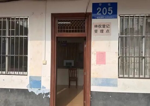 林权登记集中“破题”——广西南宁探路高效便民新路径