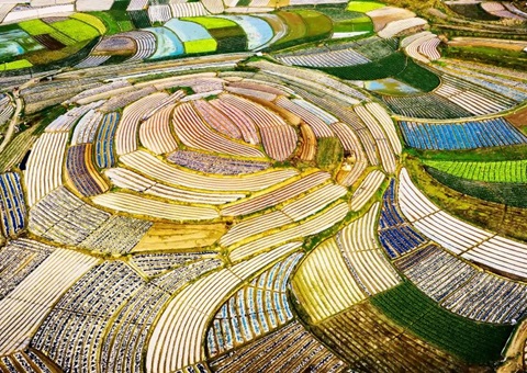 广西印发2026年田长制工作要点   深化“数智耕保”应用