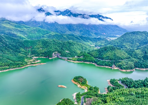 全国首单林业目标碳票碳减排量保险落户安徽池州