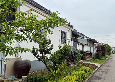 湖北沙洋：全域土地整治让“一处美”变“一片美”