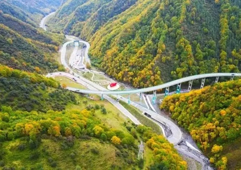 青海省首例林草生态修复项目管护办法出台