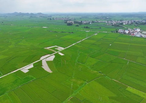 广西启动实施灌区工程与全域土地综合整治&nbsp;&nbsp;打通农业灌溉“最后一公里”