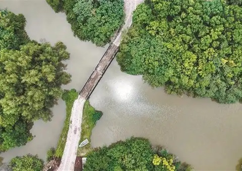 广州迎来海洋生态产品价值实现的首个落地实践<br>红树林“卖空气”成交10.5万元