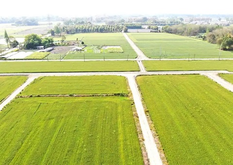 成都市郫都区局精准谋划全域土地综合整治先行棋